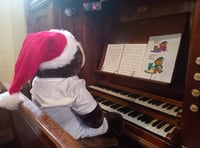 WATCH: Scenes of the Christmas Tree Festival at St Johns Church Tenby