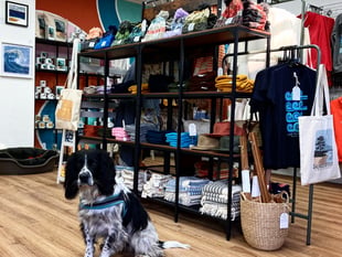 Sponsored - Salty Spaniel shop opens in Saundersfoot