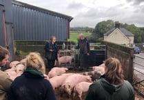 Whitland company helps train young farmers on pig production course