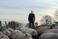 Welsh farmer warns antibiotic resistance is a risk to human health