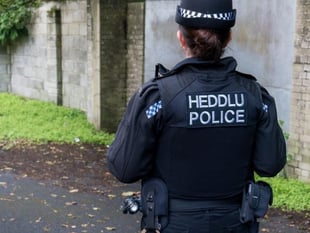 Windows smashed, rucksacks taken from two cars at Merlins Bridge