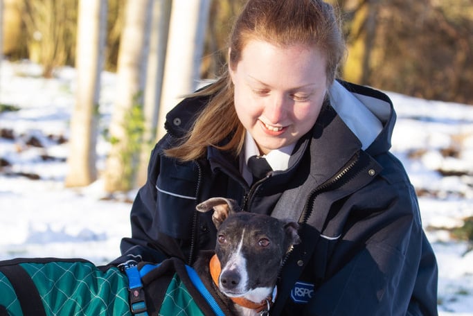 Looking after dog in snow