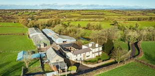 Farmhouse for sale includes 'wildlife island' and character features