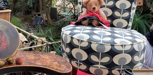 BBC Bargain Hunt to film again at Botanic Garden of Wales Antique Fair