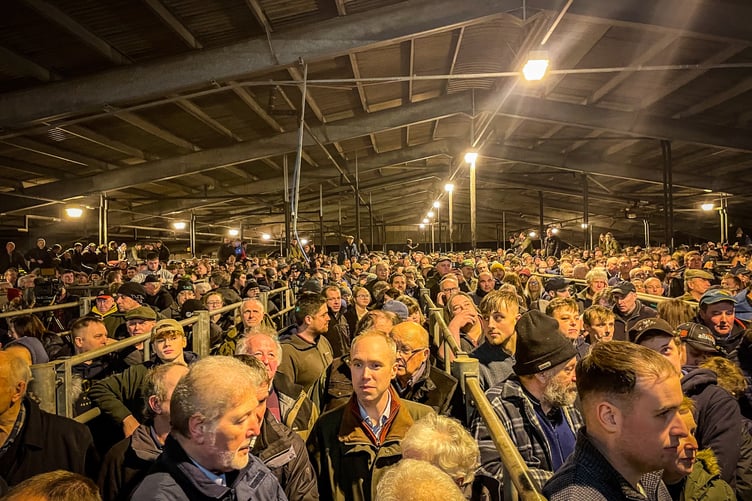 Carmarthen showground