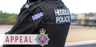 Man arrested following Tenby collision
