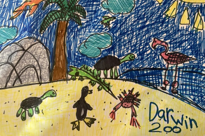 Darwin Doodle by Maybelle, age 6, of Templeton