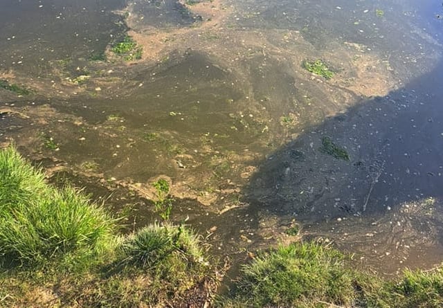 West Wales is full of c*** - here’s where the problems lie 