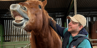 Folly Farm welcomes new arrival Lily