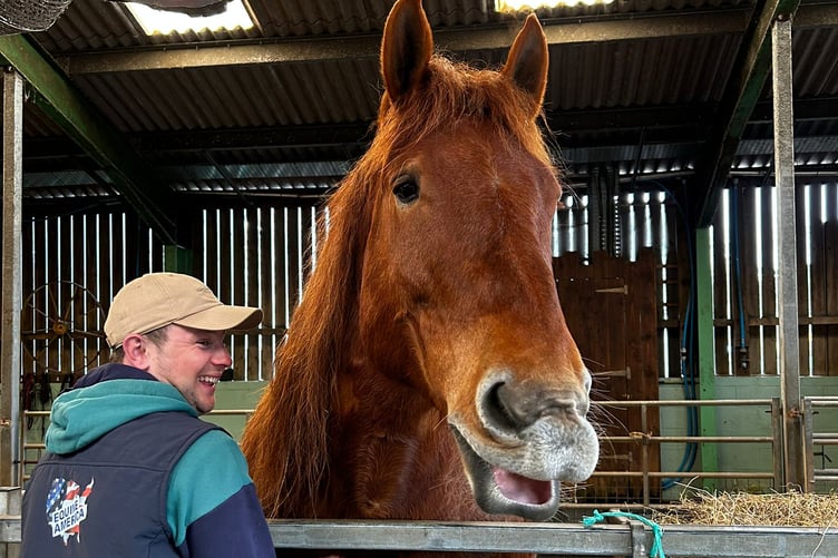Lily stands 17hh tall