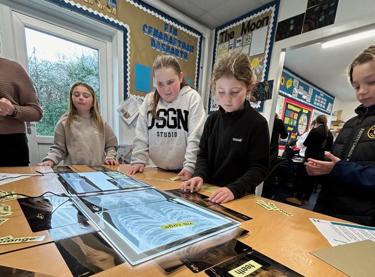 Monkton Priory CP students examining X-rays and identifying the different bones.