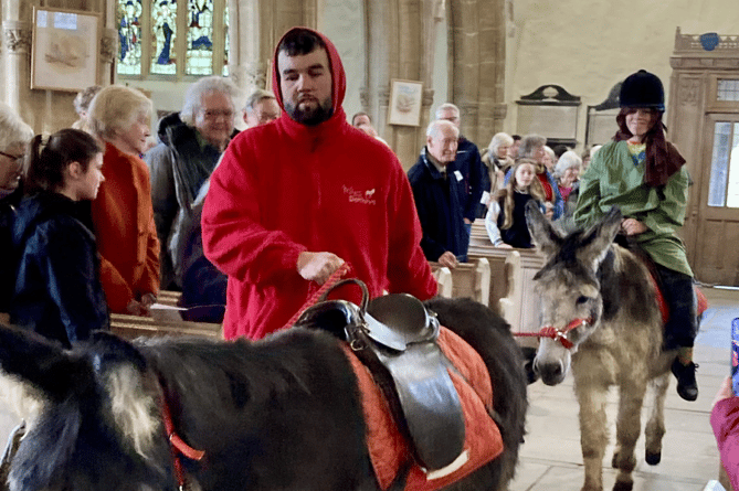 Donkeys in St Mary’s Church Tenby for Palm Sunday