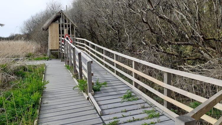 The hide at Freshwater East’s Secret Marsh in poor repair state