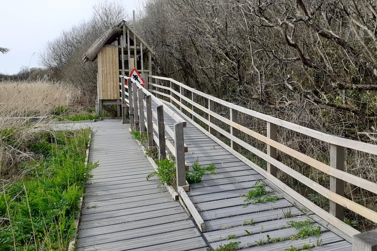 The hide at Freshwater East’s Secret Marsh in poor repair state