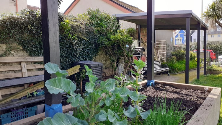 Tenby Community Garden