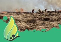Be Wildfire Wise this summer