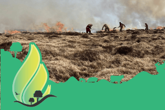 #WildfireWise - Together we can stop grass fires and protect our countryside and our country.