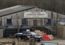 Employer in court over livestock risks