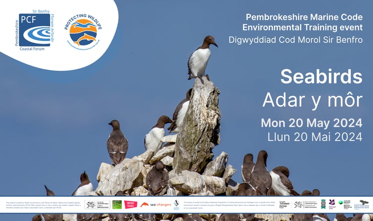 Seabirds Training event