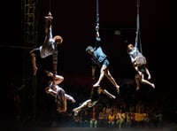NoFit State circus is back
