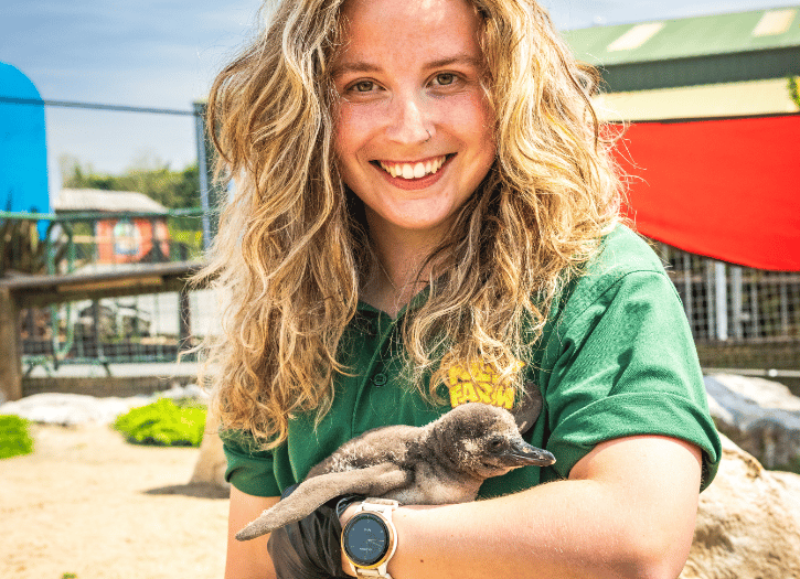Becky with young chick Gorgonzola