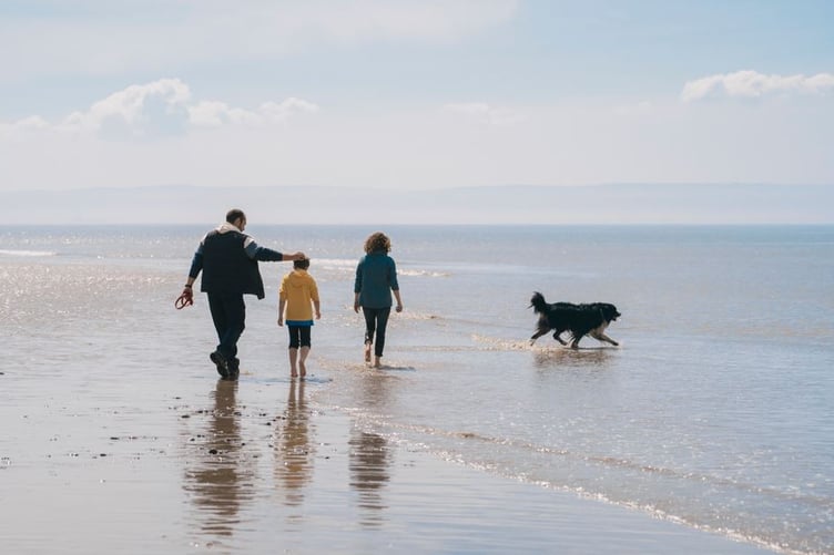 Wales launches tourism ad for dogs - sea
