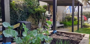 Tenby Garden Volunteers Meeting