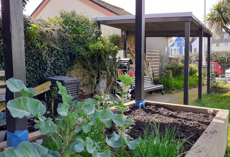 Tenby Edible Community Garden