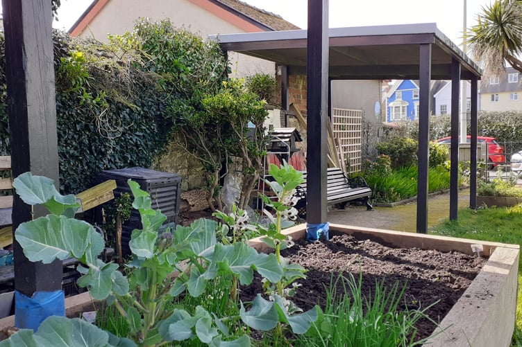 Tenby Edible Community Garden