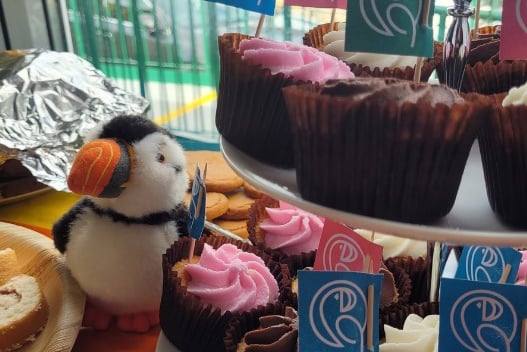 Host a Puffin Party to help protect Pembrokeshire’s stunning National Park for future generations.