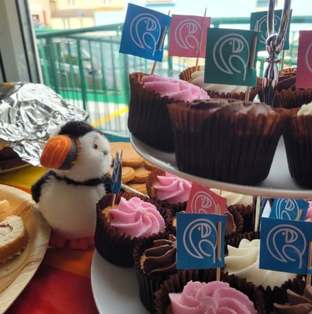 Host a Puffin Party to help protect Pembrokeshire’s stunning National Park for future generations.