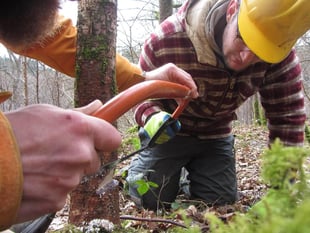 Places available on Haverfordwest woodland carpentry course
