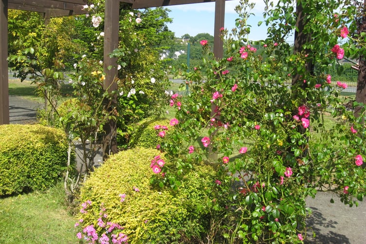 Kilgetty in Bloom