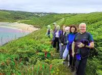 Great start to summer walks in Pembrokeshire for Steps2Health