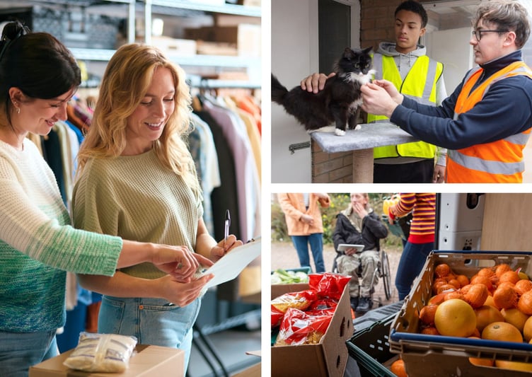 ansvar protect volunteers - do not reuse