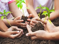 Force for nature mini-grant scheme welcomes new applications