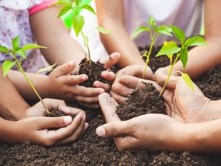 Force for nature mini-grant scheme welcomes new applications