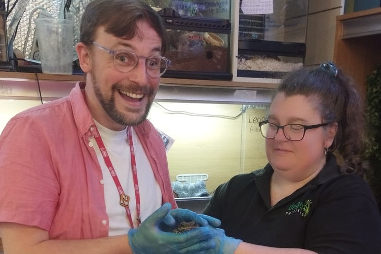 Tim Howe, Senior Manager Youth and Community at the Torch Theatre greeting 'Toad' with Claire Morris from Dragon Reptiles and Aquatics, Pembroke Dock.