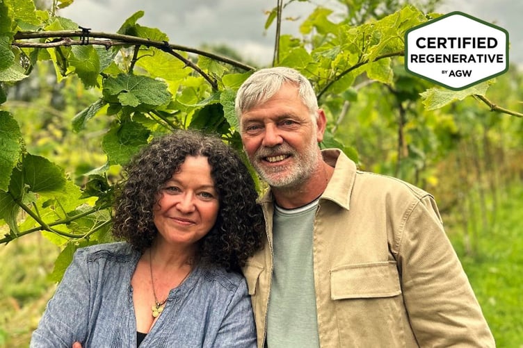 Hebron Vineyard in Whitland, Carmarthenshire