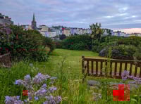Guided biodiversity walks at Tenby Castle Hill