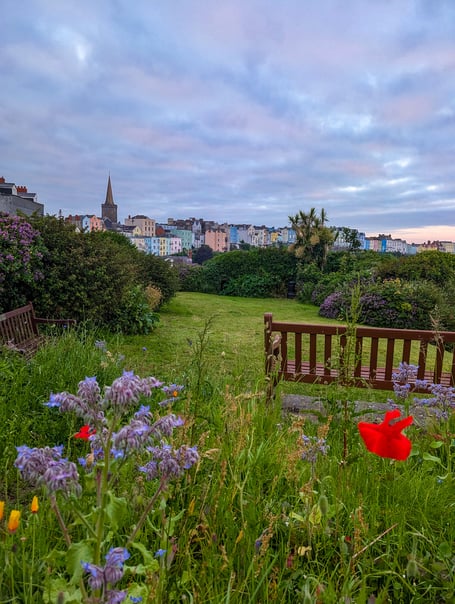 Castle Hill, Tenby