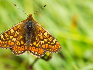 Funding secured for nature project