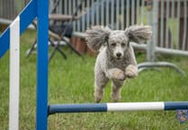 Sponsorship transforms Pembrokeshire County Show