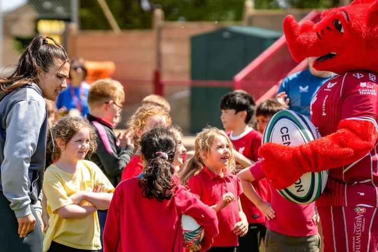 Scarlets community
