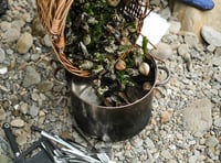 Coastal foraging talk with Craig Evans