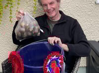 Great St Florence Potato Challenge - still growing after five years