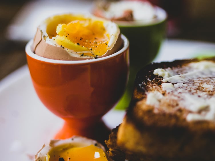 Boiled egg and toast