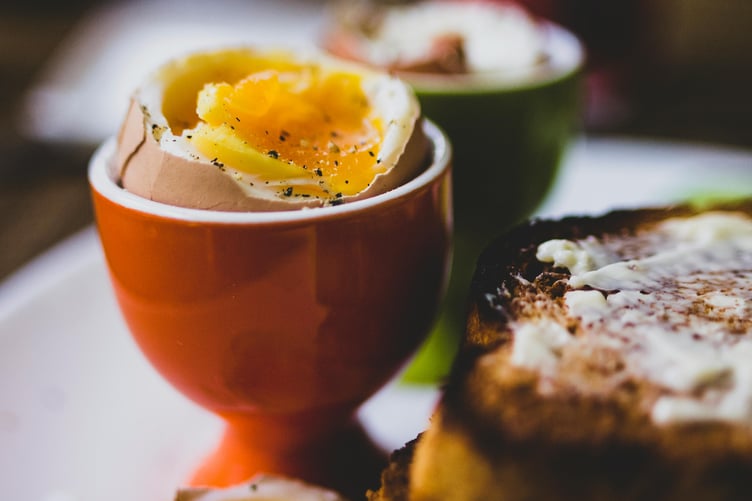 Boiled egg and toast