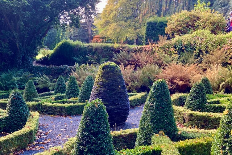 Box and topiary, Hergest Croft Gardens