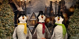 Penguins sing carols for charity at Haverfordwest store!